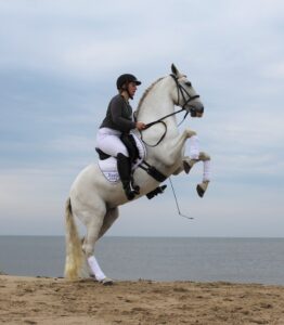 Furia & Madelief steigeren