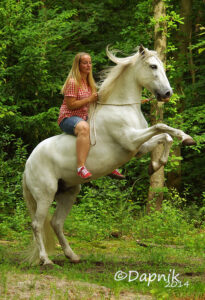 Furia steigeren