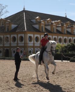 Galop