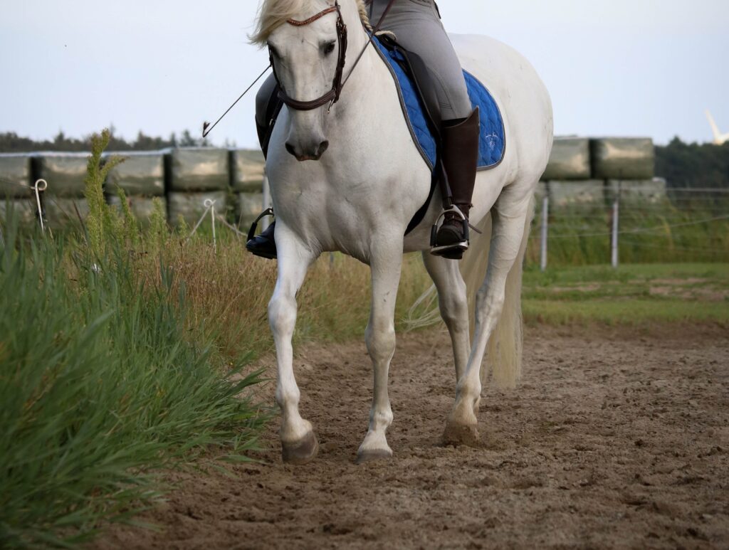 Travers