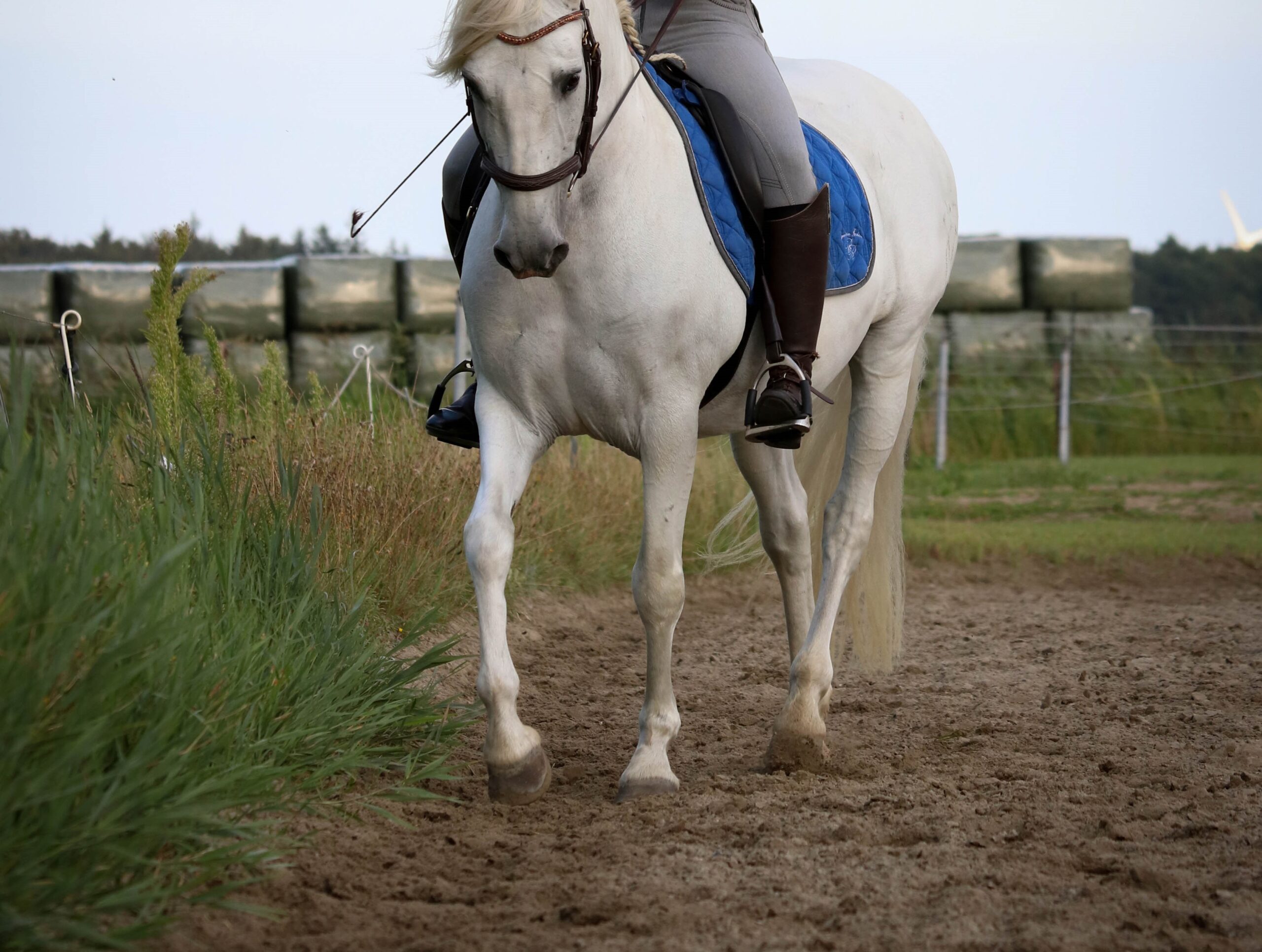 Travers