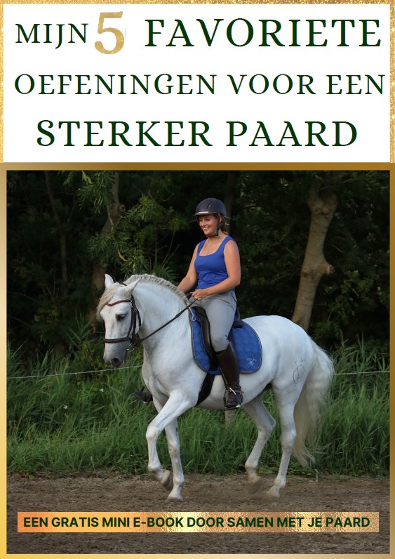 Cover e-book