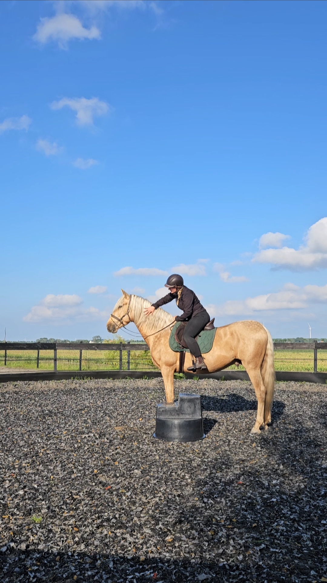 Xantho 4 jaar zadelmak maken