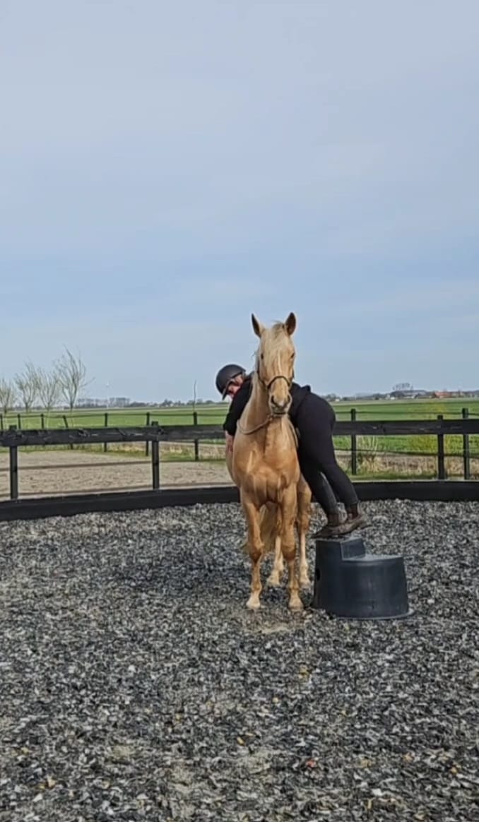 Xantho beleren